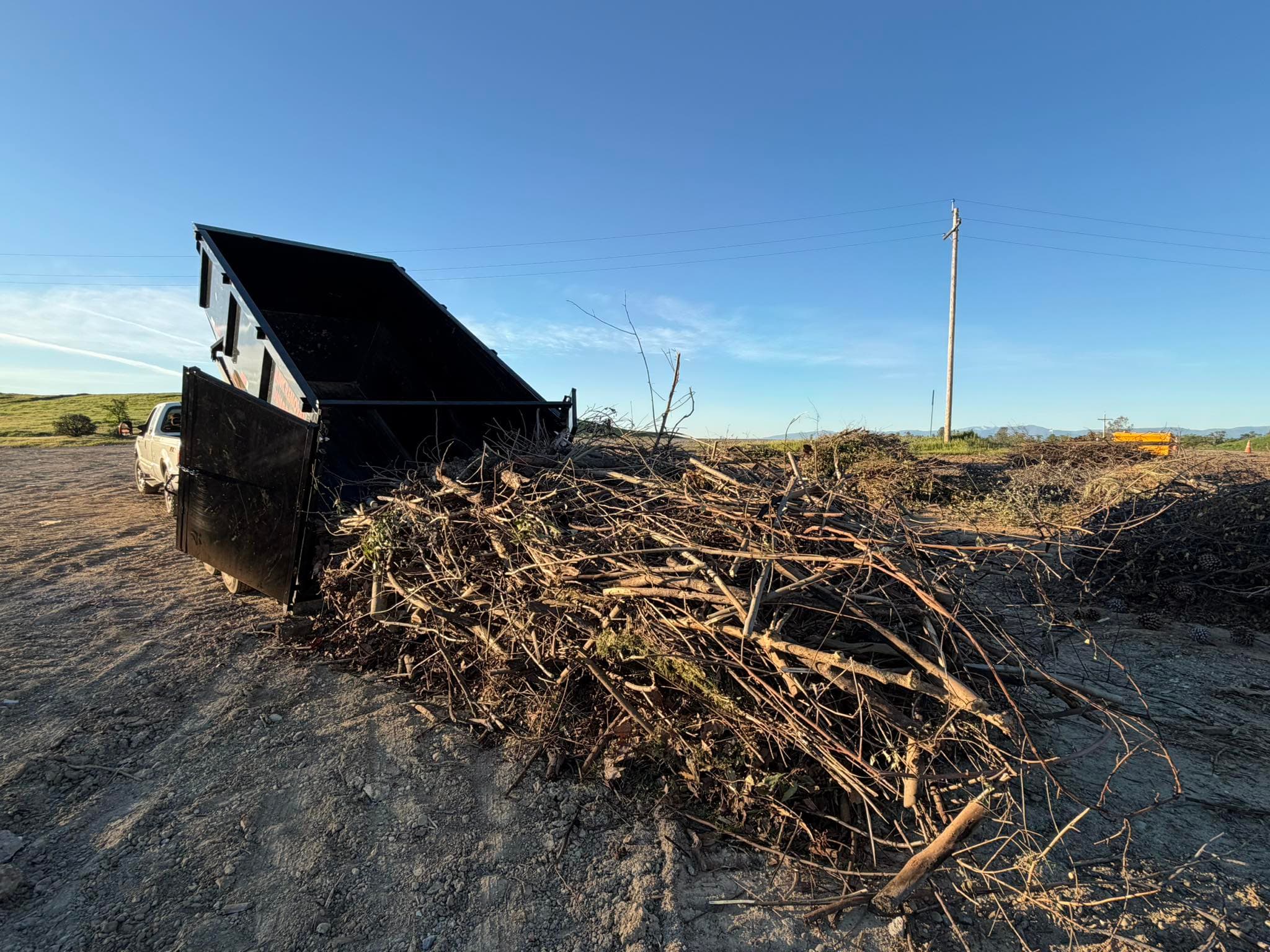 Green Waste Day
